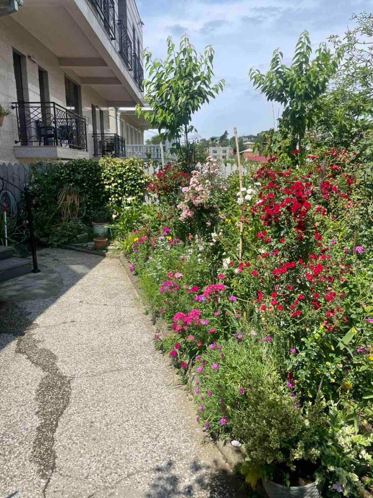 Guest House Tasunia 库塔伊西 外观 照片